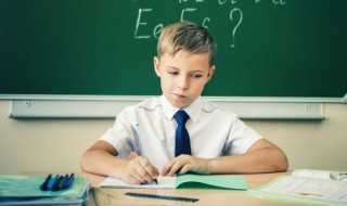 各花入各眼什么意思 各花入各意思眼什么