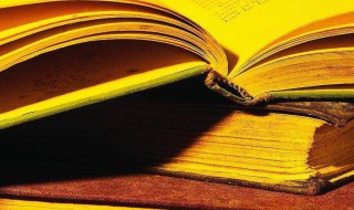 濒临绝境的意思 濒临绝境解释