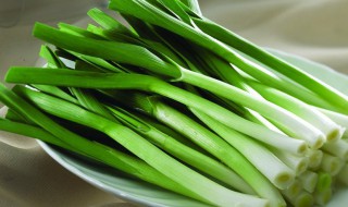 青蒜怎样储存 如何储存青蒜