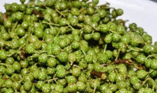 鲜青花椒怎样保鲜储存 鲜青花椒如何保鲜存放呢