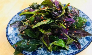 凉菜怎样储存 如何存储凉菜