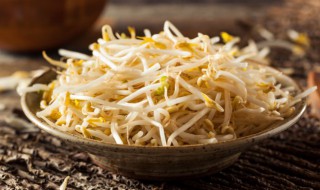 黄豆芽怎样储存 如何保存黄豆芽