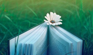 嘴贫是什么意思 嘴贫解释