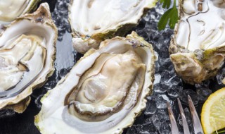 干蚝怎样储存 干蚝储存方法