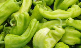 怎样储存青辣椒 储存青辣椒的方法