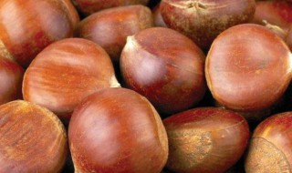 毛栗怎样储存 毛栗的存储方法