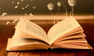 名义的意思 名义的解释