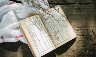 伯牙绝弦中乃的意思 伯牙绝弦中乃的含义