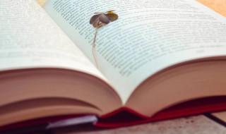 豁朗什么意思 豁朗解释