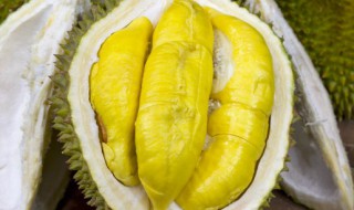 烤榴莲的做法 烤箱 烤箱烤榴莲的做法