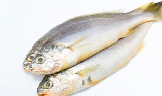 葱油鱼的做法 怎么做葱油鱼