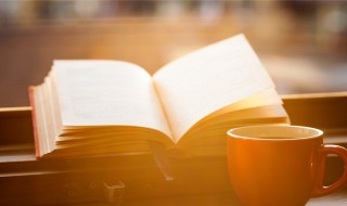 似乎的意思 似乎的解释