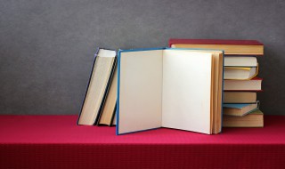 陪衬是什么意思 陪衬解释