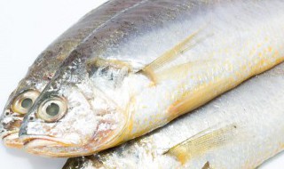 红烧鱼头最正宗的做法 最正宗红烧鱼的做法是什么