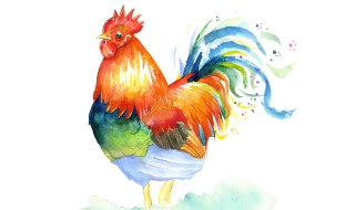 酉的意思 酉字是什么意思