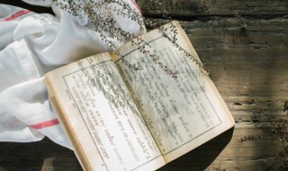 倍人也的倍意思是什么 倍人也的倍解释