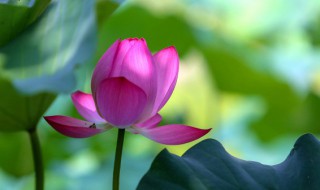 末伏是什么 末伏的简介