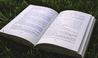 夏雨荷是什么意思 夏雨荷介绍