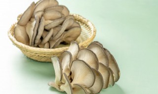 平菇算不算发物 平菇会诱发疾病吗