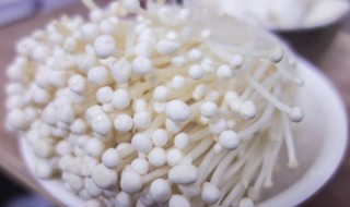 香辣金针菇做法 如何做香辣金针菇