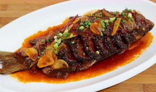 烧鲫鱼家常做法 如何做烧鲫鱼