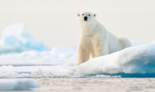 冷的励志句子说说心情 冷的句子说说心情