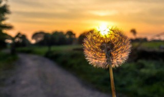 励志经典诗词名句唯美 励志经典诗词名句精选