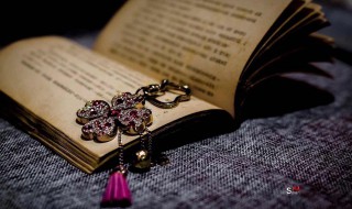 狐狸的狸怎么组词 狸的含义