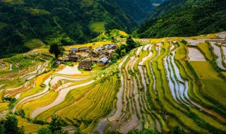 贵是哪个省的简称 贵的简介