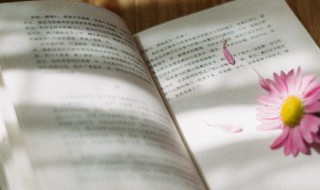 什么是春梦 春梦是什么意思