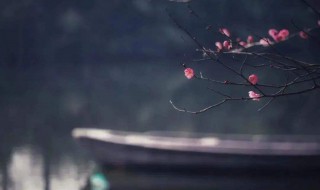 四字诗词唯美 四字诗词句子