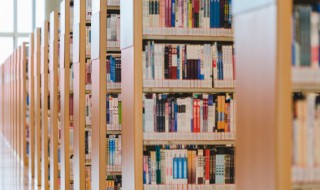 员工岗位职责 员工岗位职责怎么写