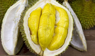 榴莲煲鸡是用壳还是肉 制作榴莲煲鸡是用壳还是肉