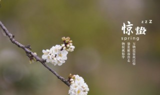 惊蛰能上坟吗 惊蛰能不能上坟