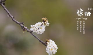 惊蛰能不能搬家 惊蛰能搬家吗