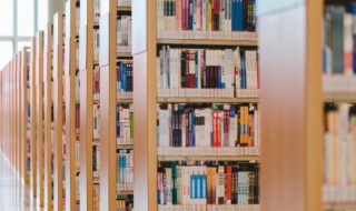 夜静春山空的上一句 夜静春山空的诗句赏析