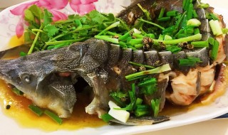 鲟龙鱼的做法 鲟龙鱼如何做