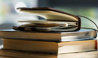 故不为苟得也的苟什么意思 故不为苟得也的苟的意思