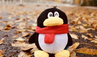 qq网名女生超拽可爱 新颖独特qq网名女生