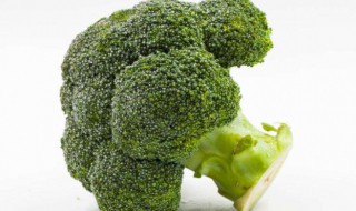 西兰花根可以吃吗 西兰花根能吃吗