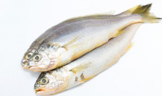 空气炸锅炸小鱼 如何用空气炸锅炸小鱼