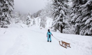 做梦梦见下雪 梦见下雪好不好