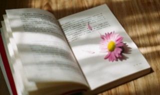 栖字组词 栖字组词有什么