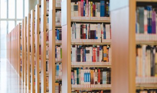 什组词2个字 什字的含义