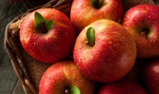 苹果英文怎么写 苹果英文是什么