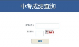 中考成绩查询 我们可以这样做