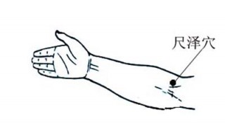 尺泽穴在哪个位置 怎么找?