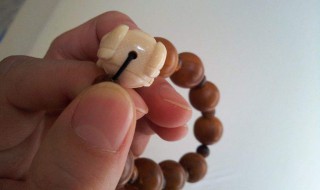 象牙果怎么盘玩 手把手教你盘玩