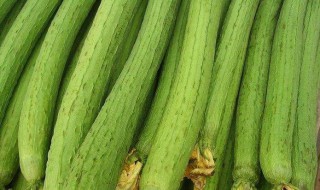 水瓜的做法 可以用来炒鸡蛋