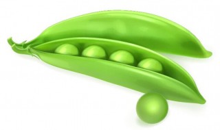 荷兰豆属于豆类吗 真的是荷兰产的吗